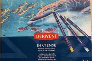 Lápices Derwent INKTENSE 🖍